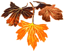 Осенние листья 