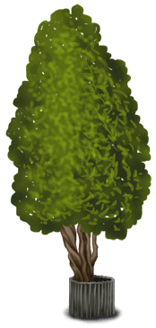 Дерево 2 