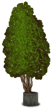 Дерево 2 