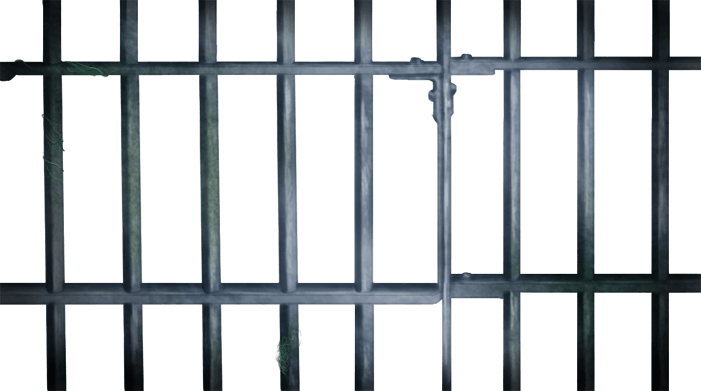 Тюремные Бары 