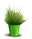 Зеленое Растение 