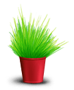 Зеленое Растение 