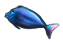 Рыба 1 