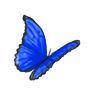 Бабочка пасха 