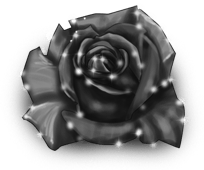 Гигантская роза зимняя фея 