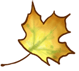 Осенний лист 