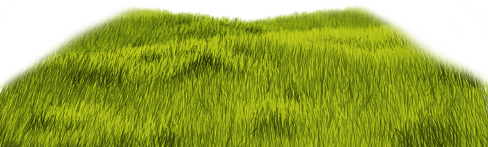 Зеленая трава 