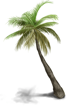 пальма 