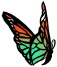 бабочка 