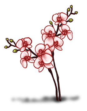 орхидея 