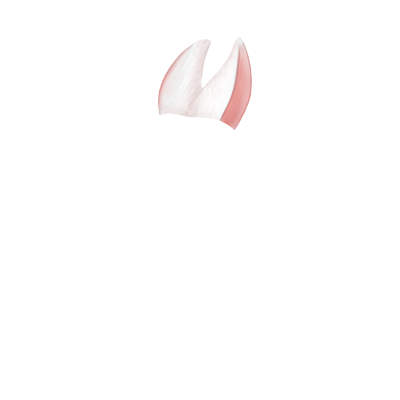 Принять кролик белый