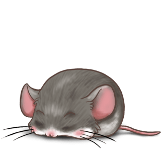 Принять мышь каштановый
