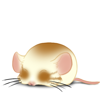 Принять мышь бирюзовый
