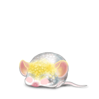 Принять мышь какаду