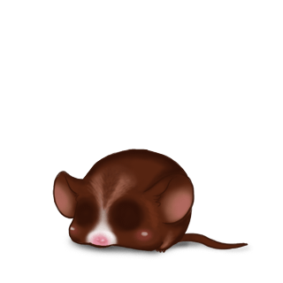 Принять мышь Choco