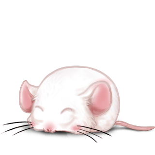 Принять мышь альбинос