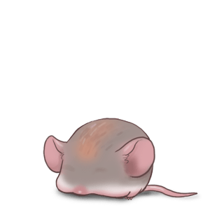 Принять мышь Странная мышь