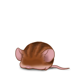 Принять мышь Коричневый полосатый
