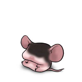 Принять мышь ангора