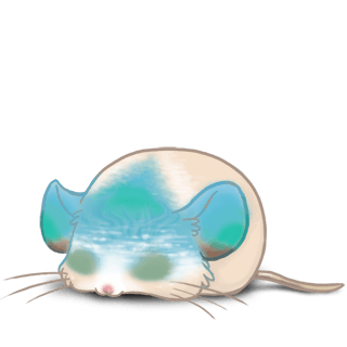 Принять мышь Pадуга