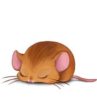 Принять мышь Pадуга