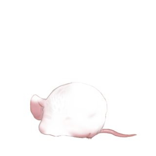 Принять мышь бежевый