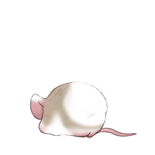 Принять мышь белый