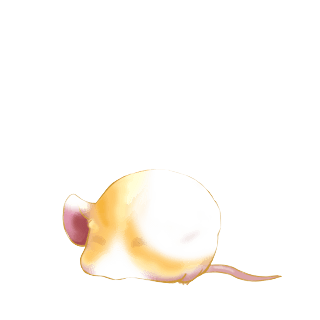Принять мышь филин