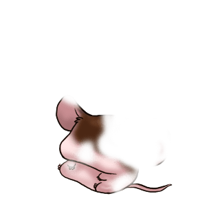 Принять мышь Роза злая