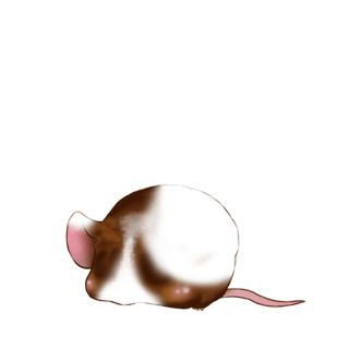 Принять мышь Молочный шоколад