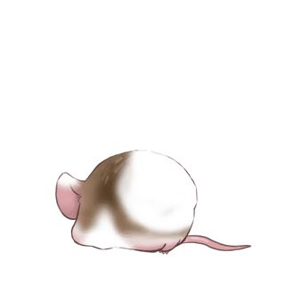 Принять мышь белый