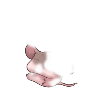 Принять мышь 