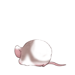 Принять мышь Ионы
