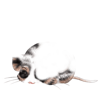 Принять мышь каштановый