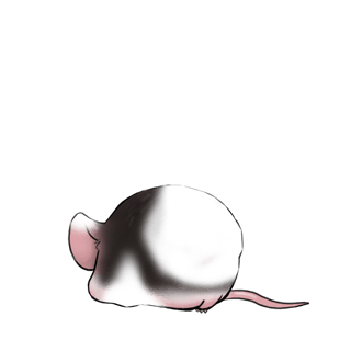 Принять мышь мягкость