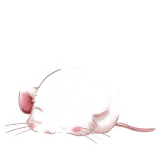Принять мышь нуга