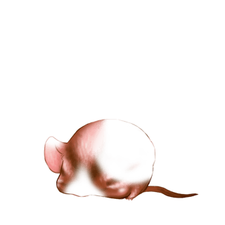 Принять мышь ириска