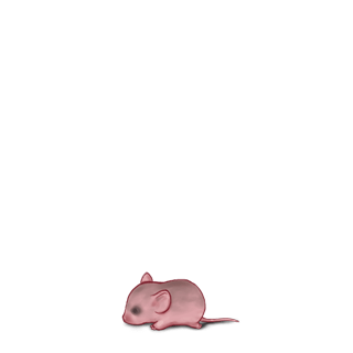 Принять мышь Ангорский абрикос